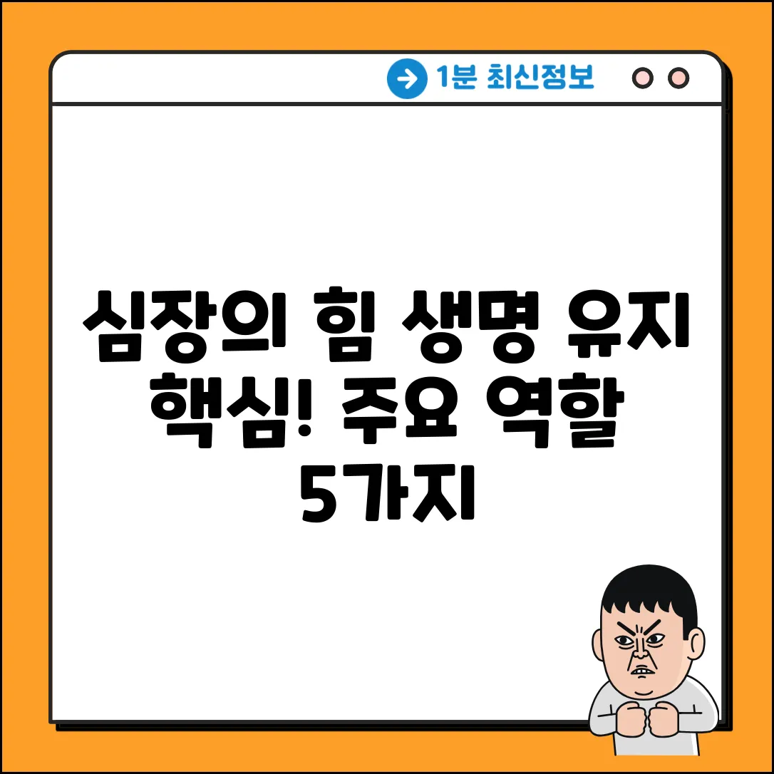 심장의 주요 역할 5가지: 생명 유지 핵심!