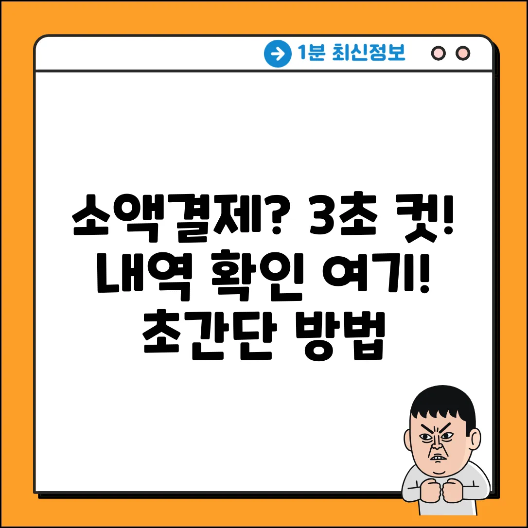 소액결제 내역, 3초 만에 확인하는 곳!