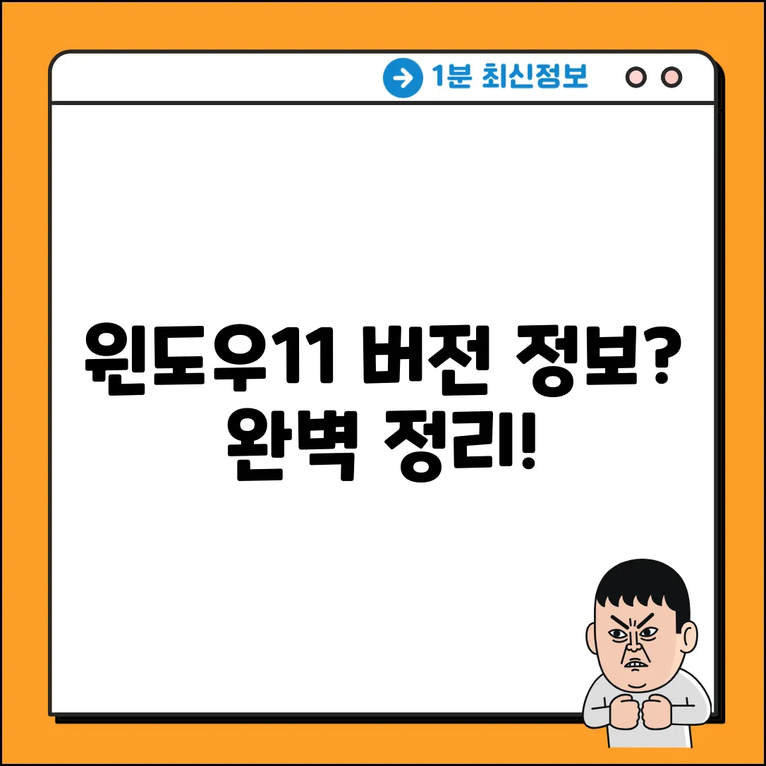 윈도우11 버전 정보 완벽 가이드