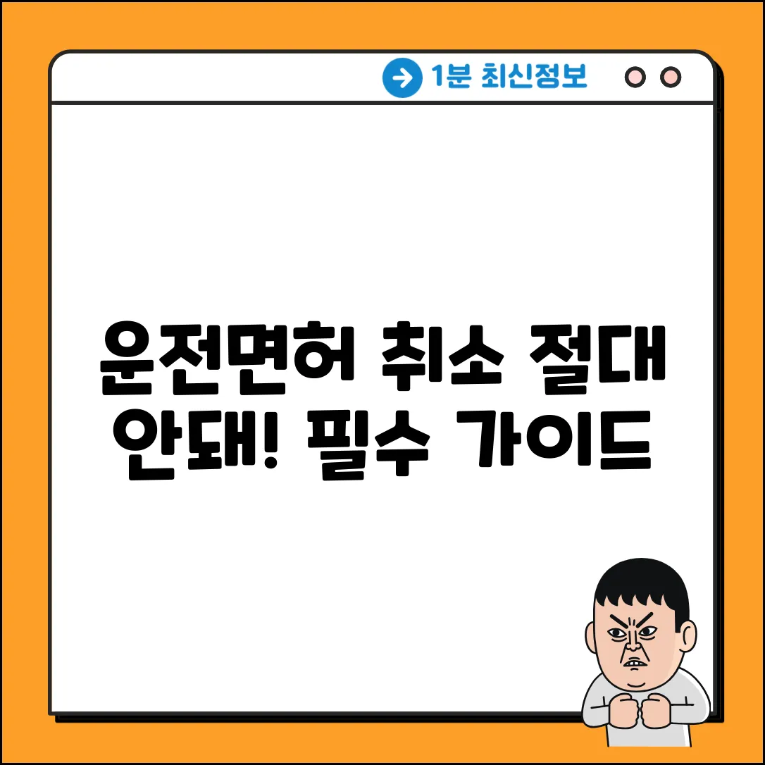 운전면허 취소 완벽 가이드: 꼭 피해야 할 항목