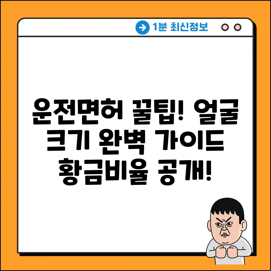운전면허 사진, 얼굴 크기 완벽 가이드