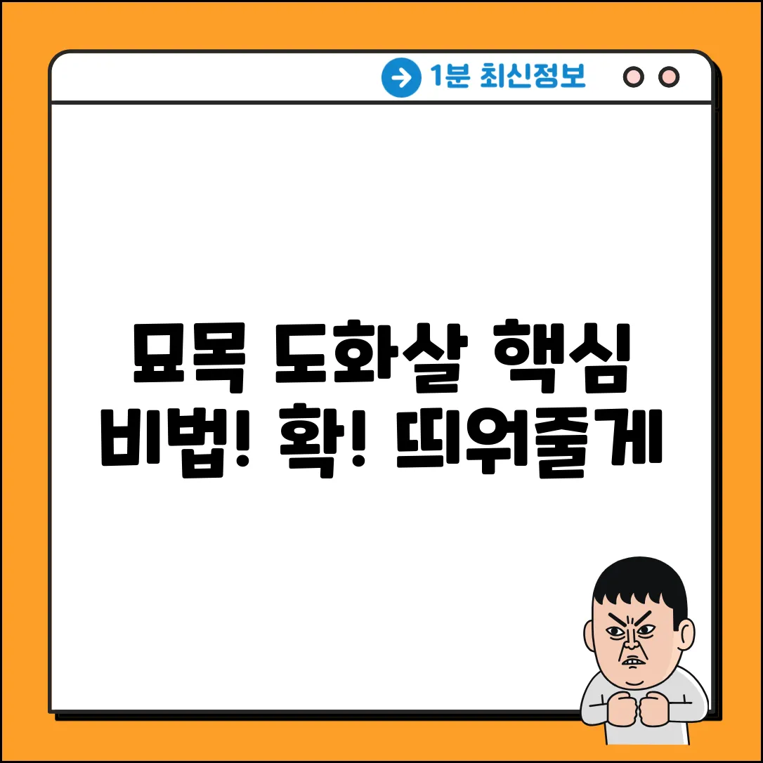 묘목 도화살, 누구나 쉽게 아는 핵심 비법!